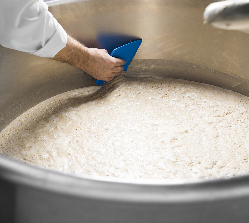 „The Dough Experts“: Vielfältige Optionen für Ihren Bedarf